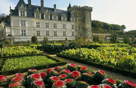 Indre-et-Loire Tour Tour de manhã pelos jardins de Chateau Villandry e Chateau Azay Le Rideau