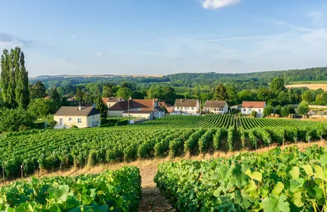 França Tour Almoço e passeio de bicicleta em Champagne