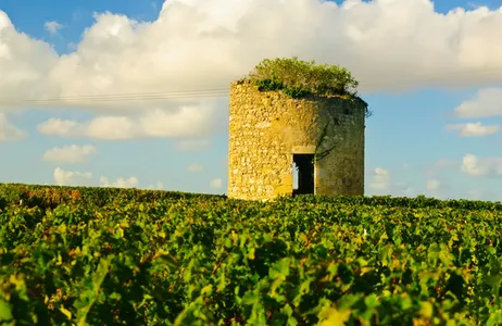 Bordeaux Tour Tour de tarde pela região vinícola de Médoc saindo de Bordeaux