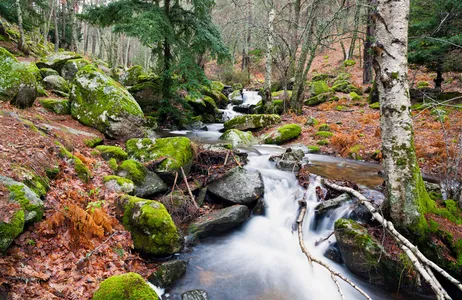 Madri Tour Excursão privativa ao Parque Nacional de Guadarrama