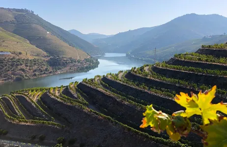 Porto Tour Excursión privada de un día al valle del Duero 