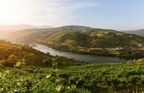 Porto Tour Passeio Douro Histórico