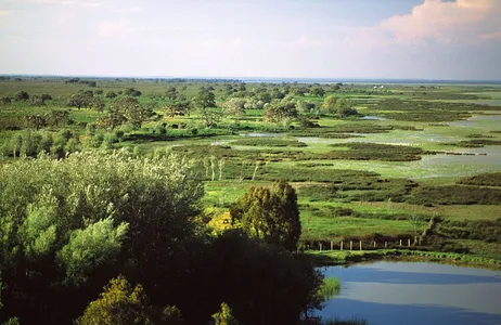 Seville Tour Tour privado pelo Parque Nacional de Doñana