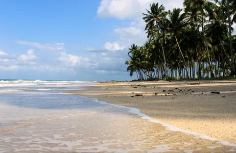 Ipojuca Tour Praia de Carneiros saindo de hotéis de Porto de Galinhas