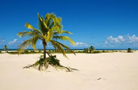 Salvador Tour Dunas de Tieta - Mangue Seco 