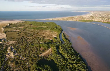 Parnaíba Tour Crossing the Delta of the Americas with a flight of scarlet ibises