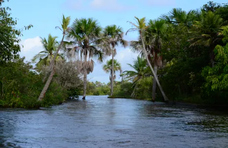 Barreirinhas Tour Private circuit of the Rio Preguiças in the small sheets