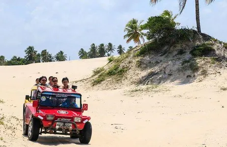 Salvador Tour Dunas de Tieta - Mangue Seco