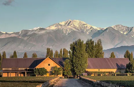 Mendoza Tour Ruta del Vino de Luján o Maipú con Almuerzo - Full Day Clásico