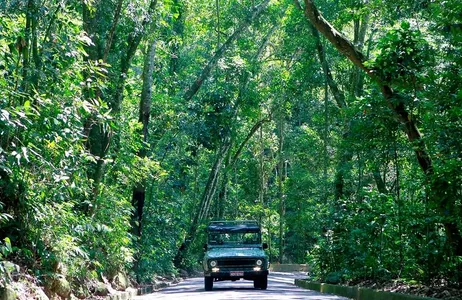 Rio de Janeiro Tour Tour Corcovado, Floresta da Tijuca e Santa Teresa de Jeep