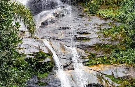 Rio de Janeiro Tour Tijuca Forest Tour by Jeep