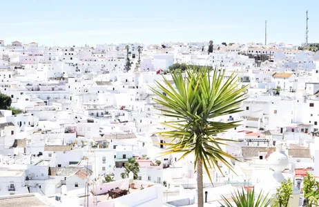 Seville Tour Visita aos Pueblos Blancos