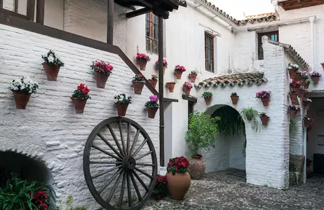 Seville Tour Combo: Espetáculo de Flamenco Patio Andaluz + transfer de ida do hotel ao teatro