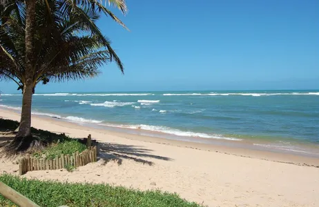 Day trip to Suape Beach - departing from Porto de Galinhas