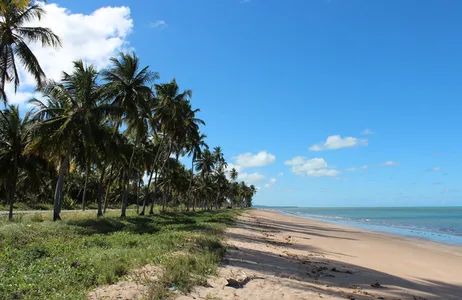 João Pessoa Tour Day tour em Porto de Galinhas com saída de João Pessoa