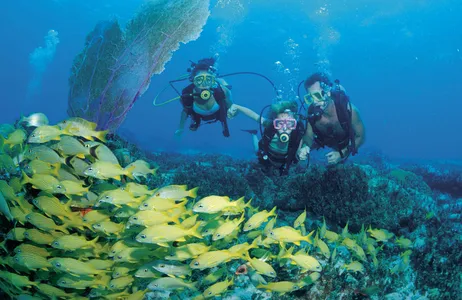 Mergulho de Cilindro em Fernando de Noronha