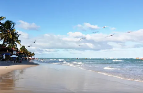 Recife Tour Combo: Transfer de ida e volta do aeroporto de Recife para hotéis em Porto de Galinhas + Day Tour em Maragogi com Passeio de Catamarã