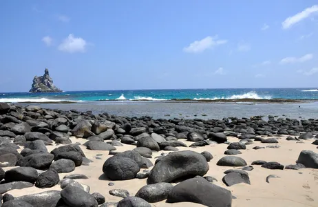 Combo: Transfer de ida e volta de Fernando de Noronha + Passeio de Barco + Ilha Tour + Passeio de Prancha