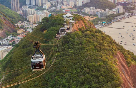 Half-day tour of Sugarloaf Mountain