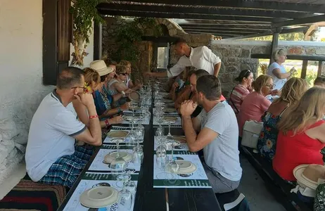 Mikonos Tour Degustação Tradicional de Vinhos em Mykonos