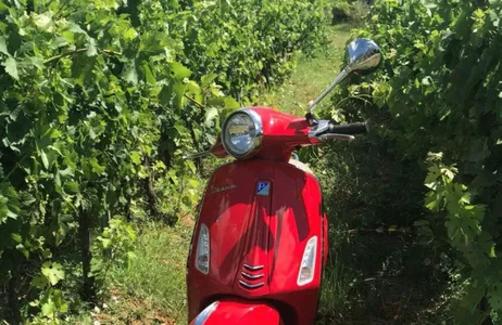 Florence Tour Tour de vespa privativo em Chianti saindo de Florença