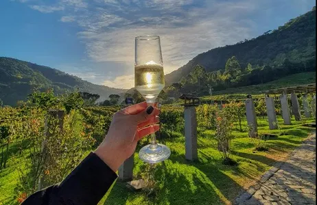Gramado Ticket Ingresso Vinícola Jolimont com Degustação + Presente Especial 