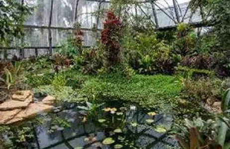 Bogota Tour Recorrido por el Jardín Botánico de Bogotá