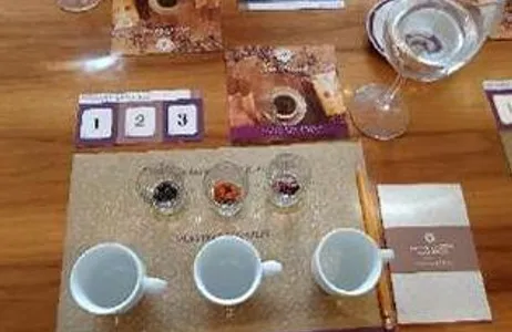 Bogota Tour Coffee Tasting in Bogotá - Café San Alberto 