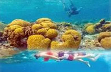 San Andrés Tour Snorkeling em San Andreas 