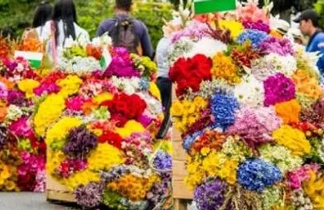 Passeio pela cidade e fazenda Silletera em Medellín