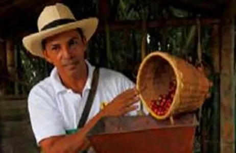 Visita a uma fazenda de café em Antioquia 