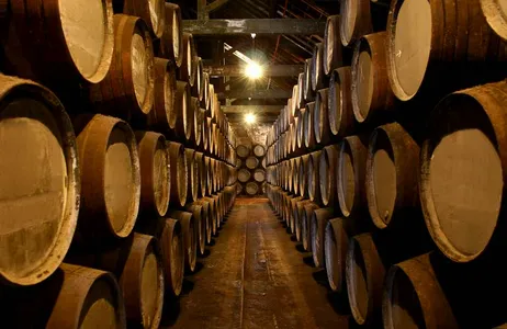 Porto Tour Passeio de dia inteiro pelo Douro com almoço e degustação de vinhos - Saindo do Porto
