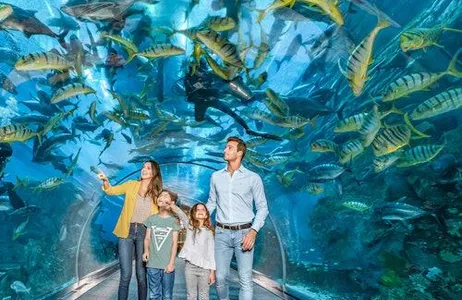 Dubai Ticket Aquário e Zoológico Subaquático de Dubai: a experiência definitiva