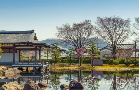 Tokyo Tour Tokyo&#39;s best-kept secrets: discover the city through the eyes of locals