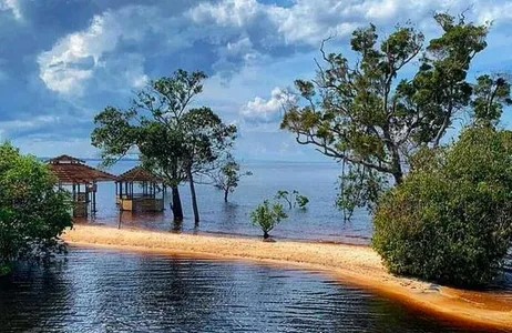 Manaus Tour Safári no Arquipélago de Anavilhanas 