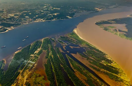 Amazon Safari Tour 