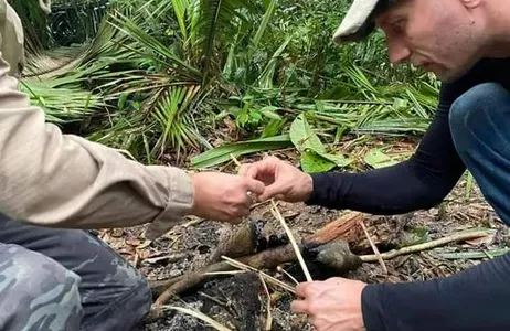 Manaus Tour Jungle survival 