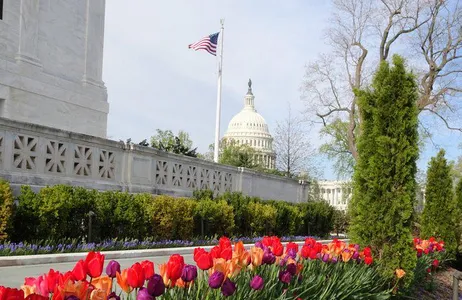 Washington Tour City Tour Expresso  – Washington, DC - Privativo 