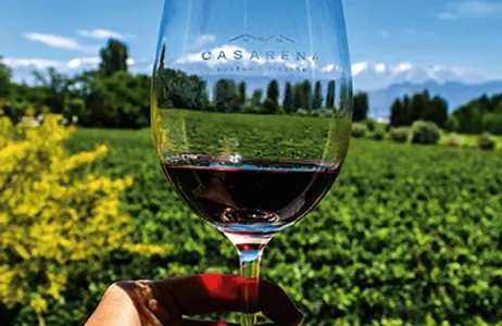 Mendoza Tour Passeio Regular pelos Caminhos do Vinho