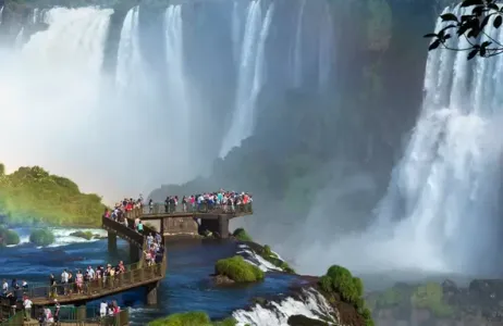 Excursion to the Brazilian Falls 