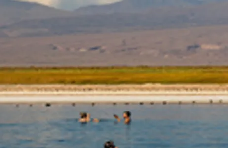 San Pedro de Atacama Tour Passeio pelas Lagunas Cejar 
