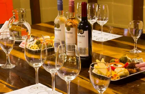 Combo: Wine Tasting with Tapas + 48-Hour Bus Ticket