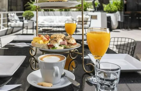 Combo: Tea at the Peace Palace + 48-Hour Bus Ticket