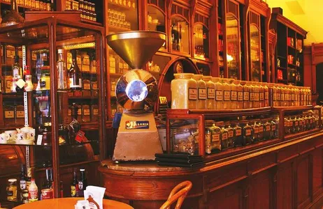 Combo: Brunch at El Gato Negro + 48-hour Bus Ticket