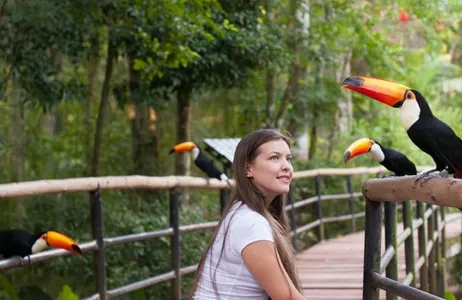 Iguaçu Falls: Brazilian Falls and Bird Park