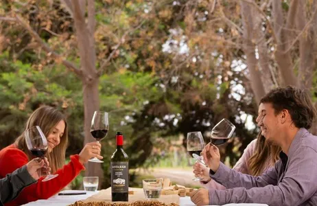 Wines, Vineyards and Picnics: Discover the charm of Mendoza&#39;s wineries