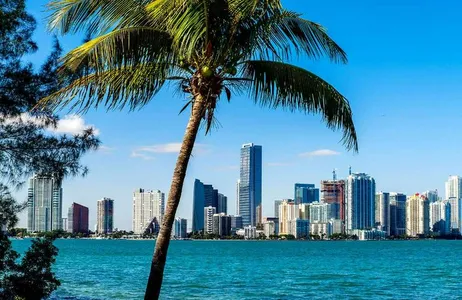 Miami Tour
