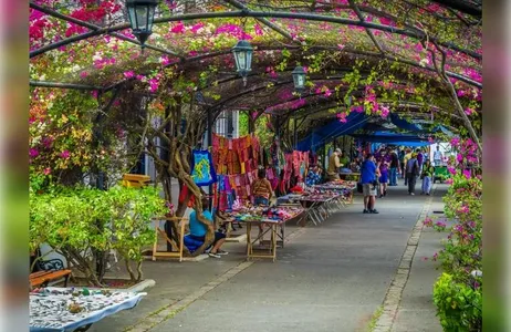 Half-day visit to Casco Antiguo, the Ruins of Panama Viejo and Amador