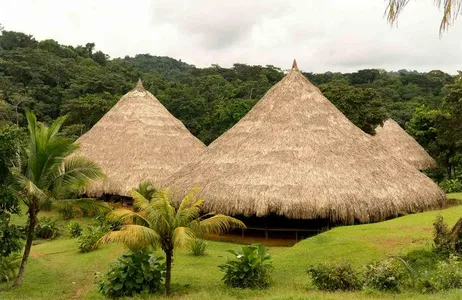 Excursion to the Emberá indigenous culture