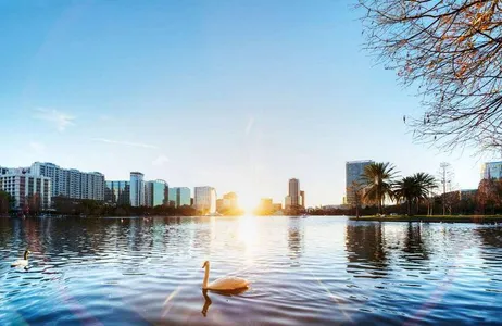 ICONic City Tour of Orlando - Includes The Wheel at ICON Orlando